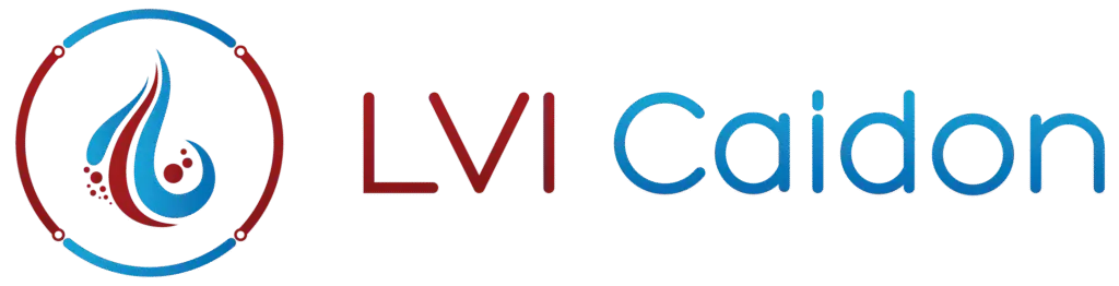 LVI Caidon Oy
