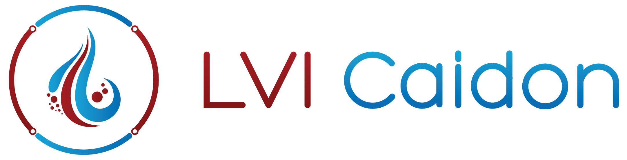 LVI Caidon Oy